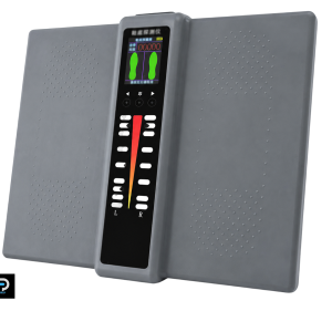 گیت بازرسی کفش PM407 6 گیت بازرسی کفش PM407